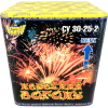 Салют Skyfire СУ 30-25-2